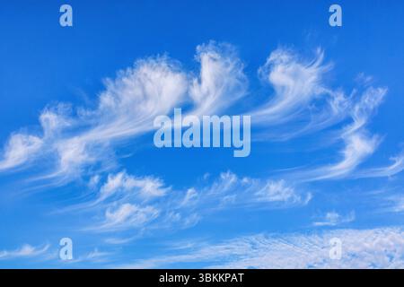 Formation of high-altitude Cirrus uncinus "Mare's tail" clouds in a blue sky - central France. Stock Photo