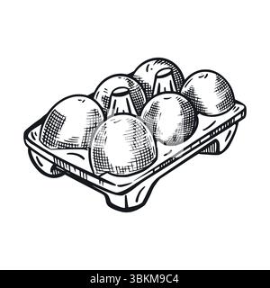 Packaging of chicken eggs, cell with eggs. All objects are hand-drawn in vector, Vector illustration is suitable for printing on packaging of goods Stock Vector
