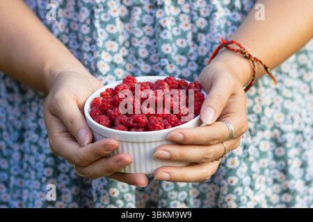 Woman Holding a Bowl of Freshly Picked Raspberries Stock Photo