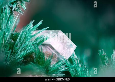 Green Malachite with clear Calcite. Specimen from Tsumeb mine, Namibia. Micro photography extreme close-up. microscope mineral crystal photography Stock Photo