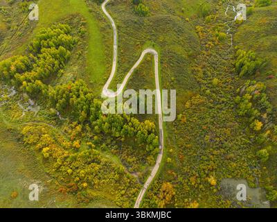 Aerial view of a winding road snaking through a dense forest near the ...