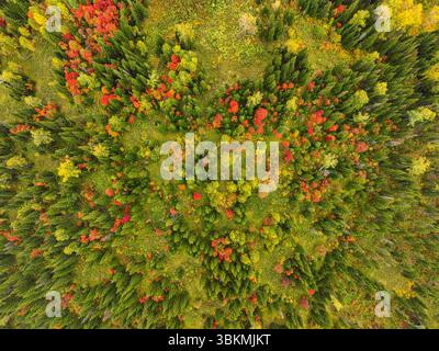 Aerial view of vibrant green and red mountains contrasting with the ...