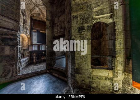 Inner courtyard of Cognac Castle. The black fungus is so characteristic of Cognac that even the white limestone facades of the town and the maturing cellars ('chais') are permanently blackened by it. The black colouring of the cellar walls is a direct result of the production of the spirit and a visible sign of the long Cognac tradition. Inner courtyard of the Château de Cognac. The stones are black in colour because a fungus has particularly good living conditions on them in the alcoholic air. Rue du Château, Cognac, Nouvelle-Aquitaine, France Stock Photo