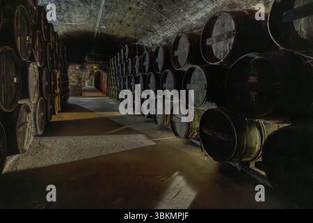 Cognac barrels lie in long rows in the maturing cellar (chai) of the Baron Otard house in Cognac Castle (Château de Cognac), Rampe du Château, Cognac, Nouvelle-Aquitaine, France. The barrels lie on both sides of a central aisle beneath a low barrel vault, with a passage leading to a neighbouring cellar at the back. The brandy must be stored in Limousin oak barrels in the region for at least two years before it can be called cognac. A VSOP matures for at least four years. The cellars are one stop on the guided tour with tasting at the castle. The walls are black because the so-called cognac fun Stock Photo