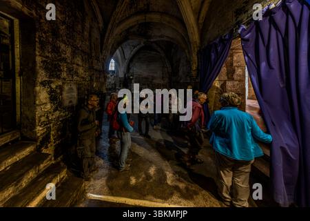 Participants on a group tour of Cognac Castle (Château de Cognac), Rampe du Château, Cognac, Nouvelle-Aquitaine, France, stand in a hall with a pointed vault between purple curtains. Among them are tour leader Katell Nicoux (left, with a green headband and a red backpack) and journalist Angela Berg (behind her, in a red jacket). The group is on the guided cycling tour by Die Landpartie along the La Flow Vélo long-distance cycle route beside the Charente. The tour is followed by a tasting of Baron Otard cognac. The dark coating on the stone probably comes from the so-called cognac fungus (Baudo Stock Photo