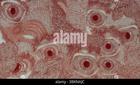 Red-Stained Microscopic View Showing Patterns in Tissue Stock Photo