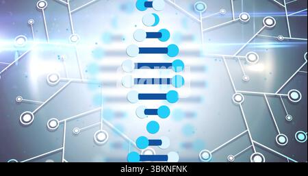Displaying abstract DNA helix forming on network display with nodes, lines and light flares Stock Photo