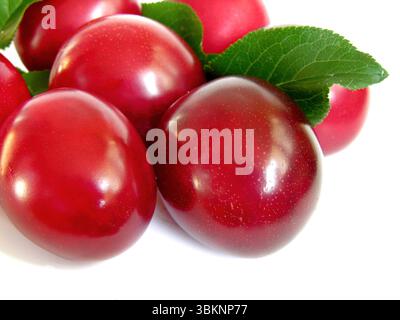 closeup of organic plums (cherry-plum), isolated on white background Stock Photo