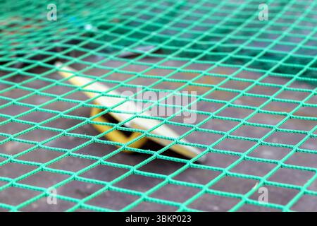 bright green, mesh-like material with square meshes, with a blurry yellow-white object in the middle. Stock Photo