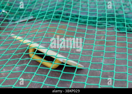 A bright green, mesh-like material with square meshes is visible, with a blurry yellow-white object in the middle. Stock Photo
