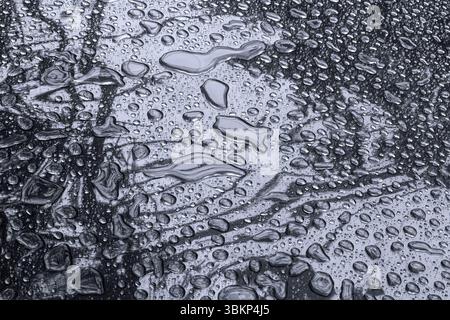 Close-up of water drops on dark glossy surface Stock Photo