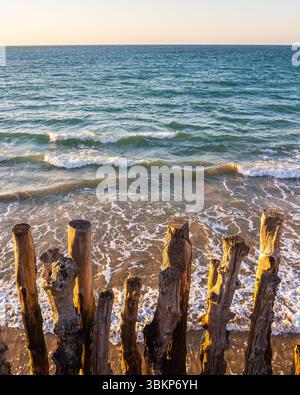 Vertical image of weathered wooden breakwaters on the beach in Saint-Malo at sunset. Warm light, sand, and gentle waves on the Brittany coast. Ideal f Stock Photo
