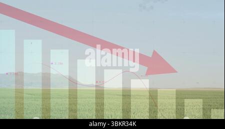 Displaying semi-transparent bar chart overlay over rural crop field, with falling red arrow trend Stock Photo
