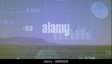 Displaying data overlay in grassy meadow, featuring bar and pie charts with metrics and grid lines Stock Photo