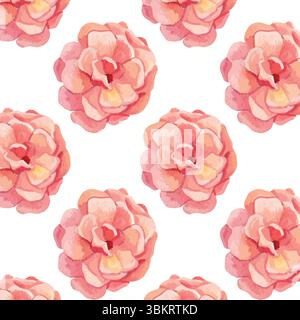 Rosa felicia watercolor pattern. Big blooming pink floral seamless pattern design. Spring summer nature background. Round pink buds of rose Stock Vector