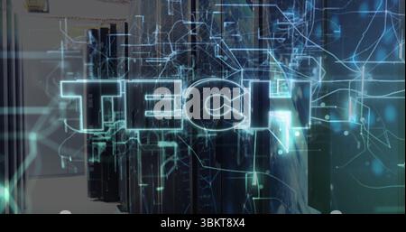 Displaying holographic 'TECH!' text floating in server room, with blinking rack doors and cables Stock Photo