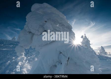 Ice-covered juhyo snow monster trees of Mt. Zao, Yamagata, Japan. Stock Photo