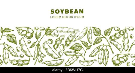 Soybean horizontal seamless background. Hand drawn sketch vector illustration of soybeans, pods, and seeds on green plant. Perfect for organic, vegeta Stock Vector