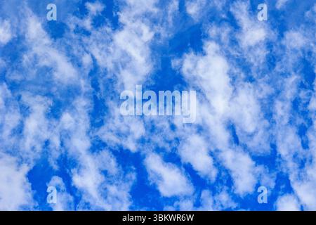 White clouds float across the bright blue sky. Stock Photo