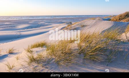 Discover the tranquility of Blokhus Strand beach Denmark beach at sunset, featuring gently rolling sand dunes adorned with lush grasses. The soft waves lap calmly against the shore Stock Photo