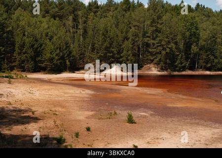 Rust-colored shore in Łuk Mużakowa Stock Photo