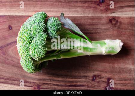 A fresh head of broccoli on a wood cutting board Stock Photo