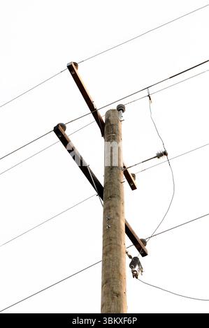Telephone pole with electrical wires on a white sky Stock Photo