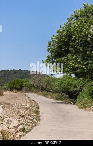 Winding Road Through Green Israeli Landscape on a Clear Day Stock Photo