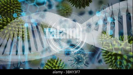 Floating DNA double helix extending across virtual lab, with circular HUD and virus particles Stock Photo