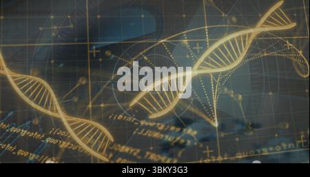 Golden DNA helices gliding over virtual laboratory interface, with molecular diagrams Stock Photo