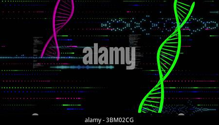Floating green DNA helix occupying right side of screen, showing magenta helix and code, copy space Stock Photo