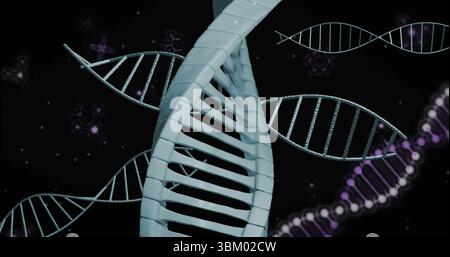 Showing blue-gray DNA helix floating in digital space, with purple-white helix and glowing clusters Stock Photo