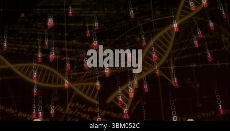 Showing golden DNA double helix winding across dark digital field with binary streams and code text Stock Photo
