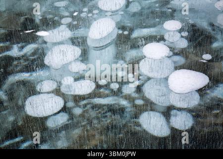 Canada, Alberta. Abraham Lake, Methane bubbles in lake ice Stock Photo