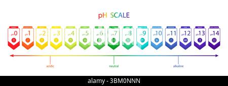 PH value Scale chart. Liquid level, litmus color change. Ph food analysis or chemical test. Vector illustration in flat style Stock Vector