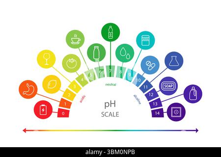 PH value Scale chart. Liquid level, litmus color change. Ph food analysis or chemical test. Vector illustration in flat style Stock Vector