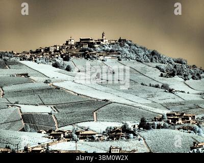 Italy, Pedemonte, Langhe, Barolo. Vineyards. Stock Photo