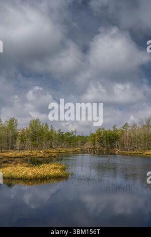 USA, New Jersey, Pine Barrens National Preserve. Strom clouds over lake and forest. Stock Photo