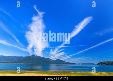 USA, Washington State, Seabeck. Aircraft contrails in sky over Hood Canal. Stock Photo
