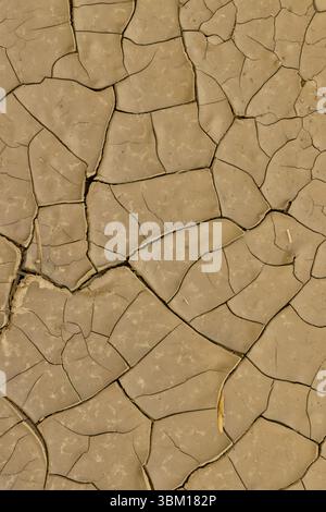 USA, Washington State, Palouse. Cracked and dried mud Stock Photo