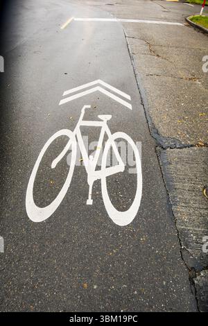 Bicycling symbol on wet cracked road, Seattle, Washington State, USA. Stock Photo
