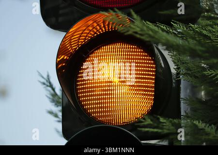 Close-up on the yellow light of a traffic light surrounded by green branches. Blurred background. Stock Photo