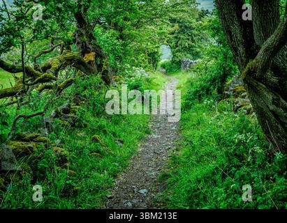 Green lane near Tideswell in the Derbyshire Peak District UK Stock Photo
