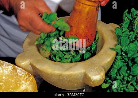 Chef adding fresh basil leaves into a marble mortar with a wooden pestle, skillfully preparing a traditional pesto sauce bursting with aromatic flavor Stock Photo