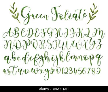 Elegant watercolor hand-painted green alphabet with uppercase, lowercase letters, and numbers. Perfect for invitations, greeting cards, botanical desi Stock Vector