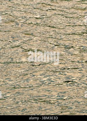 Serene Close-Up of Golden Water Surface with Gentle Ripples Reflecting Light, Evoking a Camouflage Effect Similar to Military Patterns, Ideal for Abstract Art, Background Textures, and Nature-Themed Designs, Capturing Tranquility and Unique Visuals Stock Photo