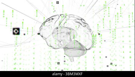 Floating translucent brain emitting green binary digits in digital space, with gray nodes and lines Stock Photo