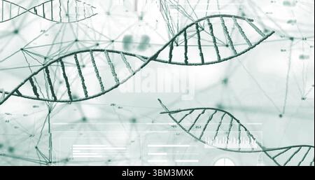 Stylized DNA double helix models floating in data interface, with network nodes and numeric labels Stock Photo
