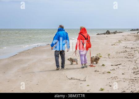 Rear view of walkers with small dogs along sandy Baltic coastline under cloudy sky Stock Photo