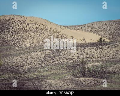 Wind-sculpted sand ripples and grass tufts on dune surface creating abstract natural textures Stock Photo